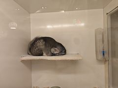 -龙猫仔乐园(惠福东路店)