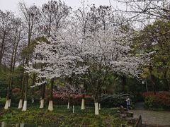 -八卦田遗址公园