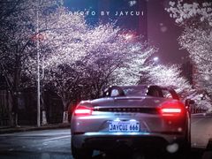 -高东镇樱花园