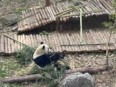 -黔灵山公园