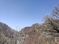 -华夏良子·足道SPA艾灸(铁道大厦店)