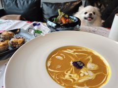-百好乐宠物友好餐厅(朝外大街店)