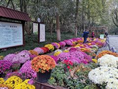 -杭州植物园