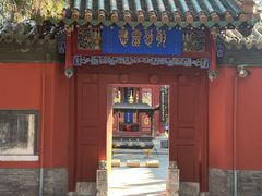 -药王庙(安国市)