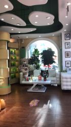 -艺米阳光Hair Salon