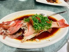 -新雅粤菜馆(南京东路店)