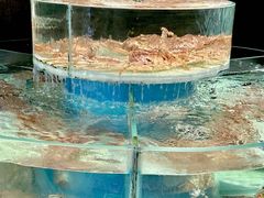 -许家菜.艺创菜(仁和新城店)