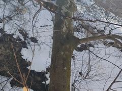 -终南山南五台景区