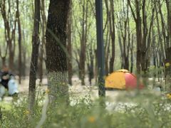 -东郊湿地公园