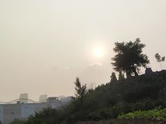 -棒棰岛宾馆景区