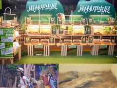 -正佳雨林生态植物园