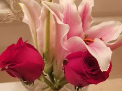 -大清花饺子馆(家乐福店)