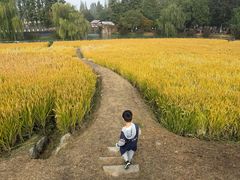 -乌村
