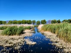 -野鸭湖国家湿地公园
