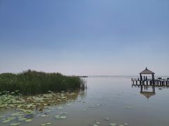 -哈素海