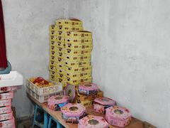 -南汇水蜜桃采摘(大团店)