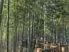 -陶祖圣境风景区