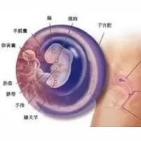 -邢台妇产医院