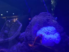 -邯郸海洋世界