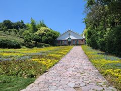 -天目湖涵田度假村