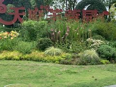 景点-天府芙蓉园