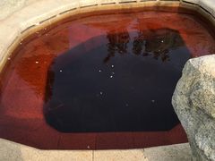 -大连金石滩绿发温泉假日酒店
