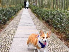 -大奇山国家森林公园