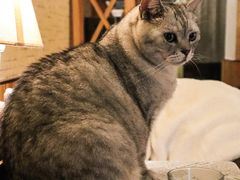 -隅cafe(傅厚岗店)