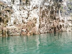 景点-神农溪纤夫文化旅游区