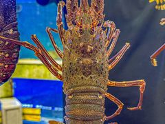 -东江海鲜大排档·潮汕菜·砂锅粥