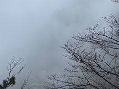 -庐山风景区花径公园