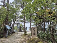 -天目山大树王景区