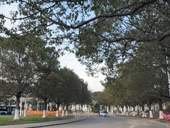 -上海海湾国家森林公园