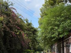 -云南师范大学(一二一西南联大校区)