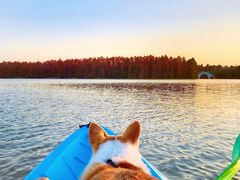 -上海海湾国家森林公园