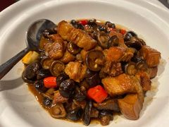 金钱菇煨肉-徐记海鲜(观沙岭|滨江新城店)