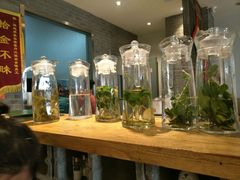 -滇越乘象云南餐厅(次渠店)