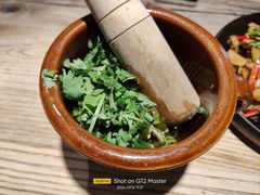 烧青椒锤皮蛋-树厨贵州菜(大十字店)