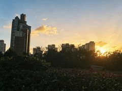 -陆家嘴世纪金融广场