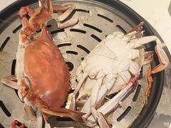 -半岛听涛蒸汽海鲜自助(K11店)