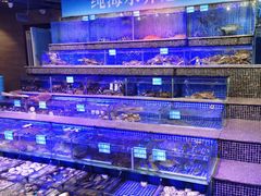 -青蓬蒸汽海鲜·深圳老字号·团建聚会(壹方城店)