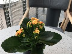 -BeauTea水仙(coco park店)