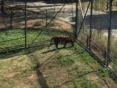 -深圳野生动物园