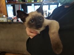 -么么咖啡(燕郊店)