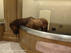 -海澜飞马水城