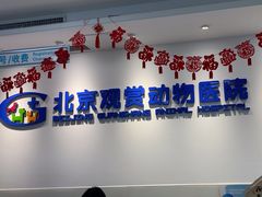 -北京观赏动物医院·24小时大型综合·猫专科·异宠专科