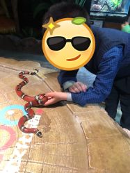 -酷嗒动物文化乐园(cutezoo西溪乐天城店)