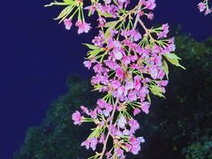 -静安雕塑公园