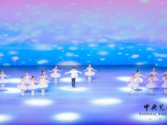 -中央芭蕾舞团·中芭艺蕾(酒仙桥明星校区)
