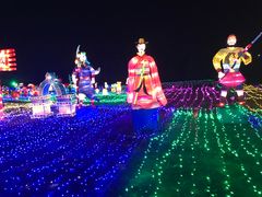 -杭州湾海上花田景区